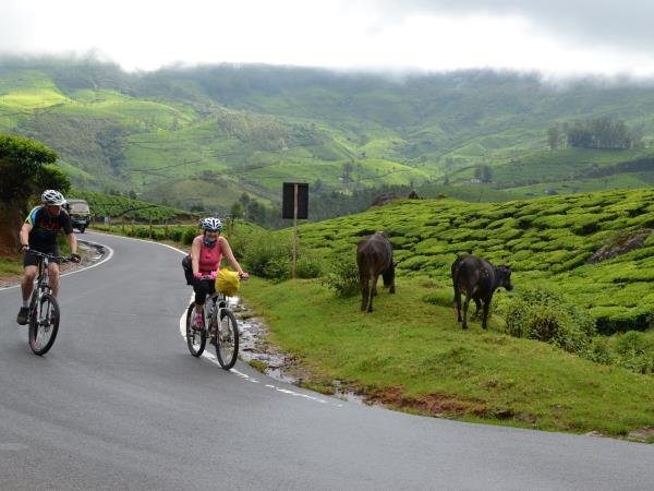 Kerala Bicycle Tour: The Tropical Highlights 7 Days